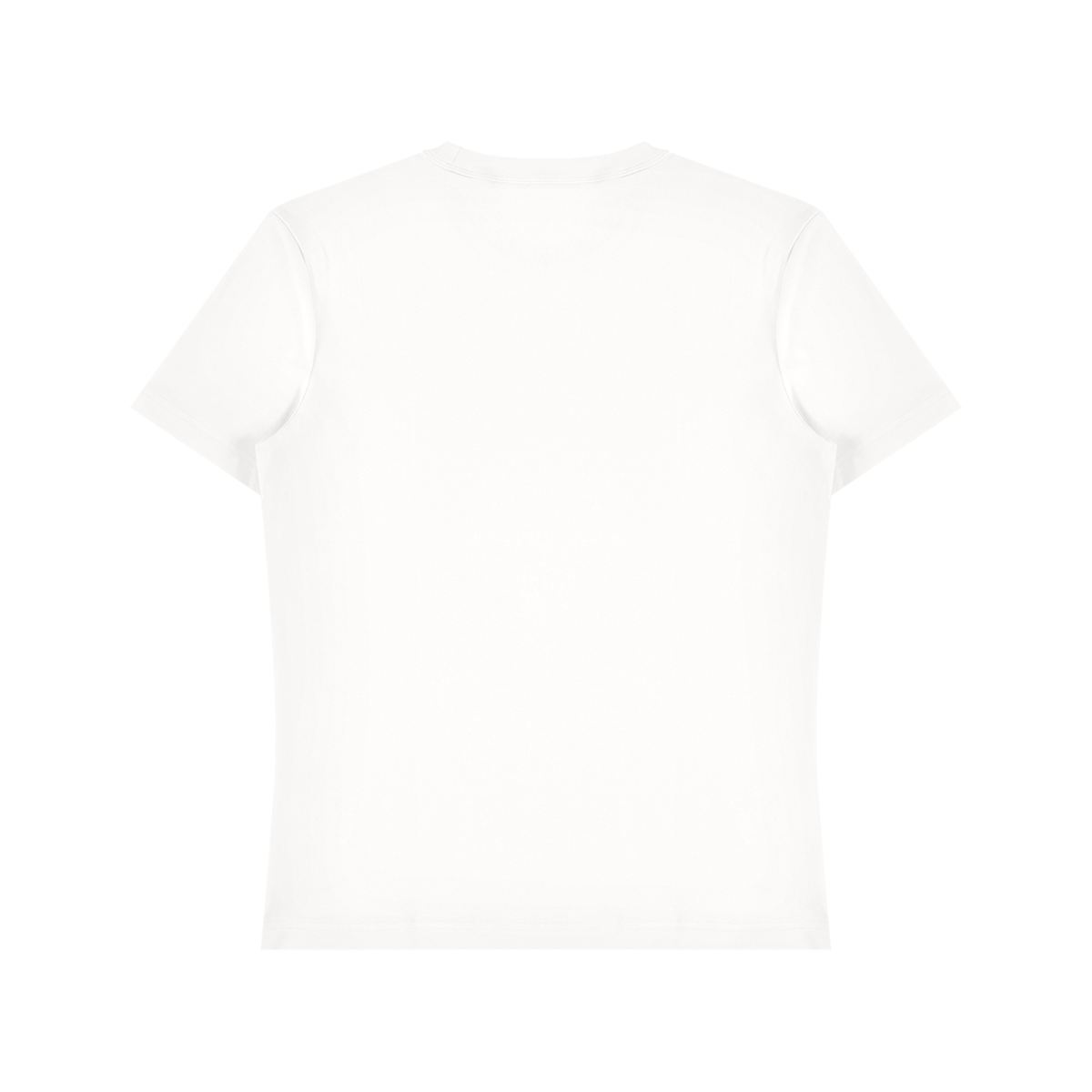 Unisex Heavyweight Cotton T-Shirt