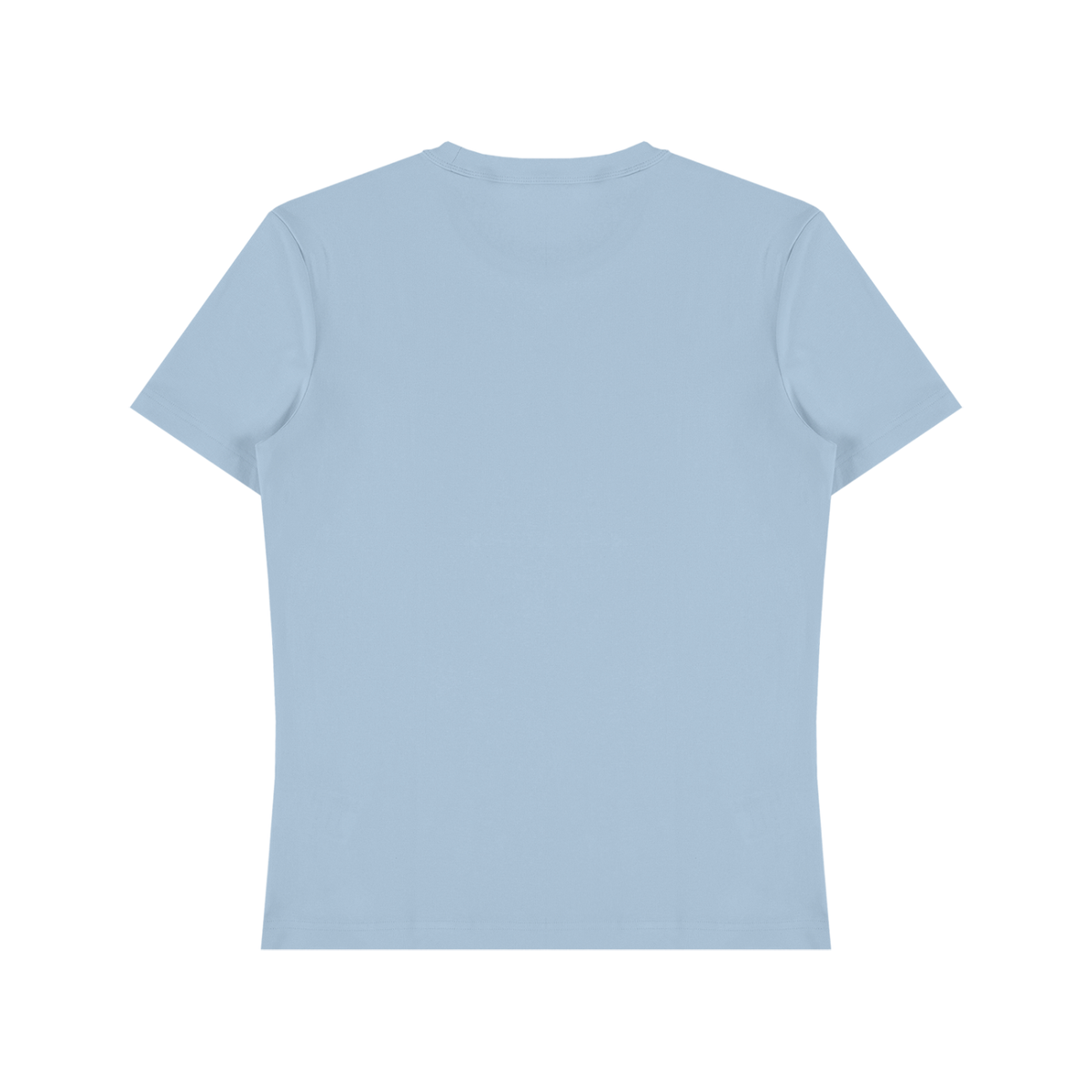Unisex Heavyweight Cotton T-Shirt